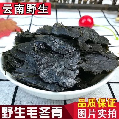 云南野生毛冬青茶叶500克 正品中药材毛东青苦甘小叶苦丁茶毛