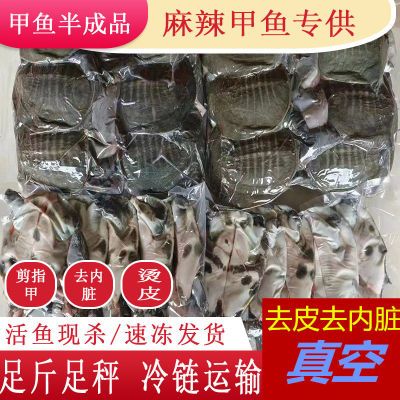 外塘鲜活现杀麻辣甲鱼卤甲鱼商用半成品食材水鱼团鱼老鳖代杀水产