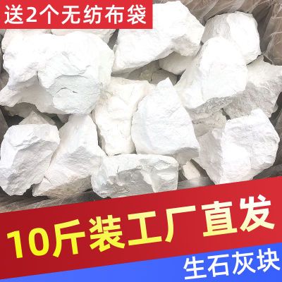 10斤鱼塘消毒杀菌驱虫除湿干燥剂家用生石灰块特级防潮正宗石灰