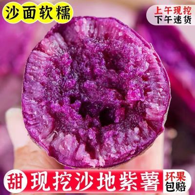 【新鲜现挖】5/9斤农家沙地紫薯番薯粉糯甜板栗红薯地瓜蜜薯蔬菜