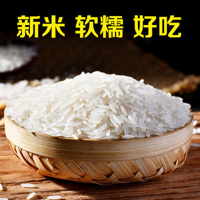 2023年新米长粒香大米10斤晚稻煲仔饭丝苗米批发5kg猫牙米象牙米