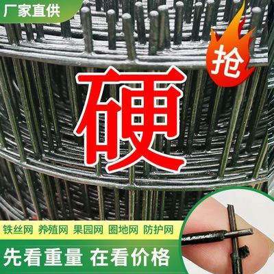 防锈养鸡围栏网超硬养殖专用网防护网鱼塘铁网栅栏果园隔离防护网