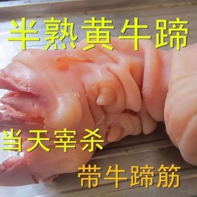 现煮现发去骨牛蹄子农家黄牛蹄新鲜牛蹄半熟原味剔骨牛蹄去骨整只