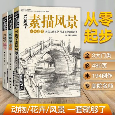 经典全集 兴趣学素描/速写/风景3本套装 零基础入门 画画自学素描