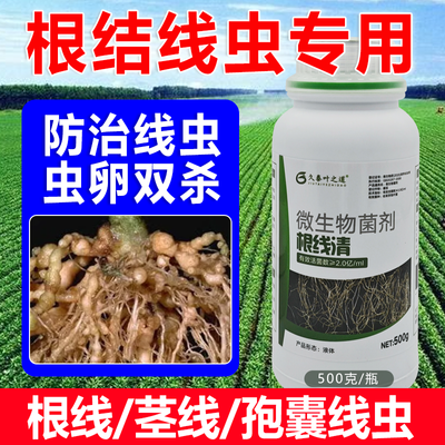 根结线虫专用药淡紫紫孢菌根结根瘤根线清根线灵地下根微生物菌剂