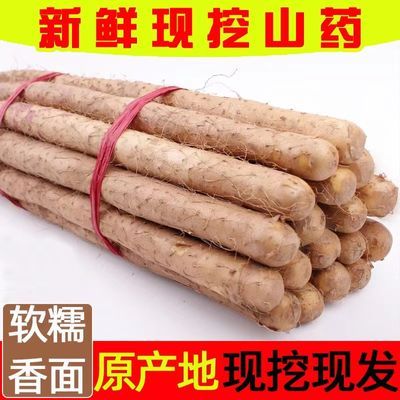 正宗新鲜淮山药3/5斤粉糯小白嘴铁杆山药当季蔬菜整箱批发包邮