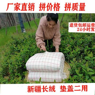 新疆保暖纯棉花被子被芯全棉春秋床垫被褥子学生水洗棉被
