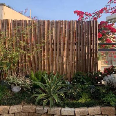 碳化竹子篱笆花园围栏栅栏防腐竹竿庭院改造户外新中式田园风清仓