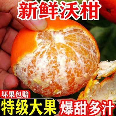 广西武鸣沃柑应季水果橘子新鲜批发当季超甜薄皮桔子非丑橘沙糖桔