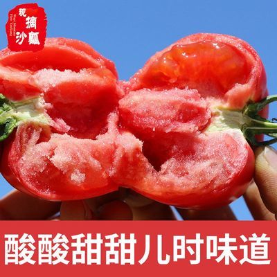 当季现摘甘肃沙瓤西红柿孕妇水果自然成熟新鲜番茄沙漠旱地种植