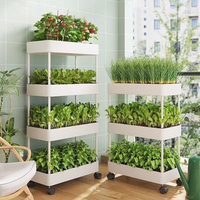 菜篮子阳台种植蔬菜盆栽花卉专用盆置物架多层立体组合专用箱花架