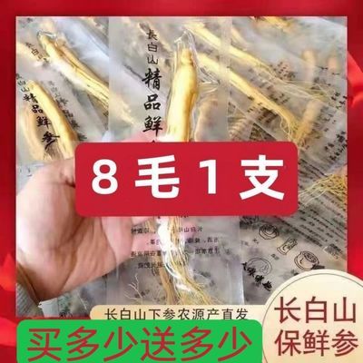 鲜参真空包装长白山保鲜参泡酒参 东北特产新鲜人参煲汤补品材料