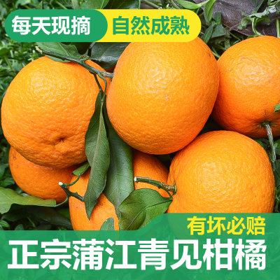 四川青见橘橙果冻橙子桔子非爱媛38号孕妇儿童新鲜水果5/9斤