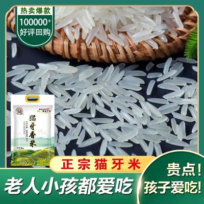 猫牙香米长粒香米油粘米象牙粘米煲仔饭炒饭生态香米10斤批发价