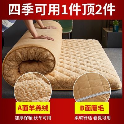 羊羔绒床垫冬季加绒加厚软垫家用双人垫褥被地垫褥子学生宿舍单人