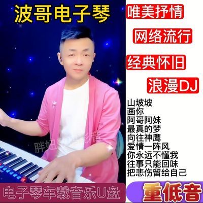 波哥电子琴纯音乐车载u盘音乐重低音网红经典dj全集高音质怀旧mp3