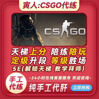 CSGO 代练代肝完美5E天梯排位定级官匹