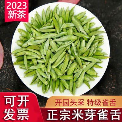 【珍品级||小米芽】雀舌绿茶2023明前特级嫩芽高端芽500