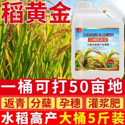 稻黄金水稻专用高产抗倒伏返青分蘖孕穗灌浆肥增产稻谷水稻专用肥