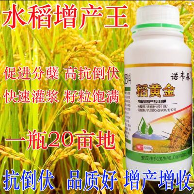 水稻专用叶面肥水稻增产剂铁杆大穗王水稻增产剂高产增产抗倒伏