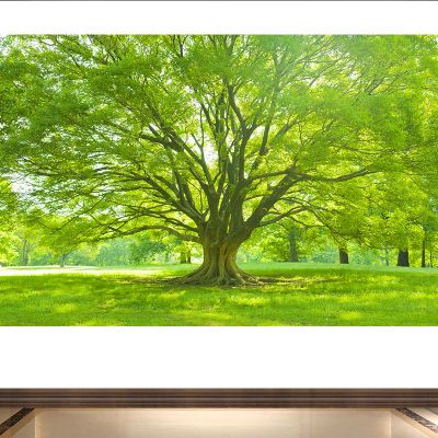 一颗大树贴画绿色树木森林阳光大自然壁画树木风景画招财护眼d1