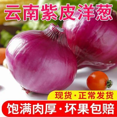 【高品质】云南农家新鲜水果洋葱5/9斤装甜味生吃紫皮圆葱头蔬菜