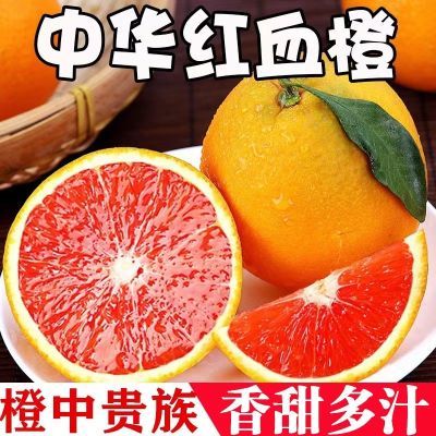 中华红橙红肉橙子雪橙秭归血橙红心脐橙5/9斤新鲜果冻橙应季水果