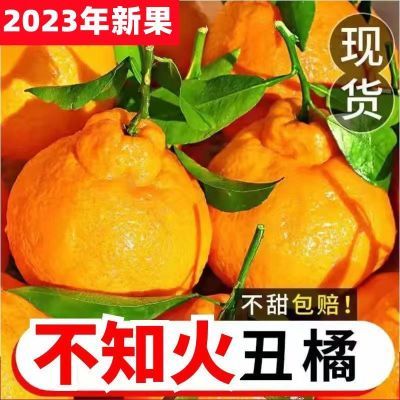 四川不知火丑橘新鲜丑八怪橘子当季水果桔子柑橘整箱9斤批发现摘