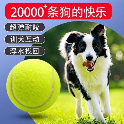 宠物玩具网球狗狗磨牙耐咬弹力球户外训练球互动玩具小狗解闷神器