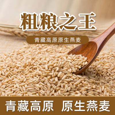 青海燕麦米 2023年优质燕麦新米颗粒胚芽米 煮粥食用五谷杂粮带皮