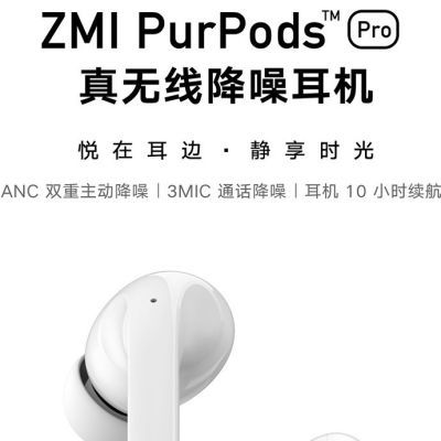 ZMI PurPods Pro真无线降噪蓝牙耳机入耳式主动降噪TW100