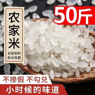 正宗东北大米珍珠米批发50斤100斤大袋长粒香米产地直销20