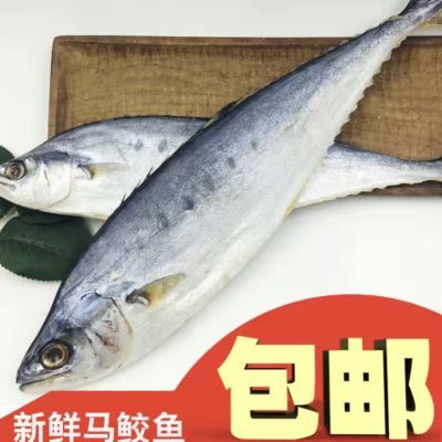 【北海特产】深海野生马鲛鱼咸鱼茄子煲海鲜干货