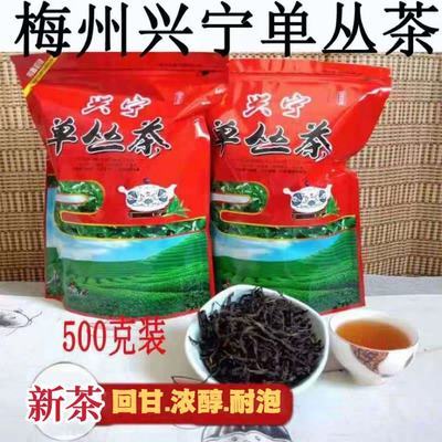 广东梅州兴宁单枞王 客家特产茶叶 春茶 高山单丛 乌龙茶凤凰单从