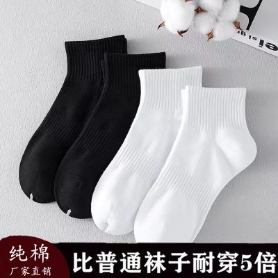 厂家直售纯棉女袜塑形新款吸湿排汗简约高质量短袜