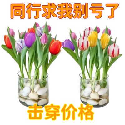 2023年3月28日更新【万能白菜价】的图片 第68张