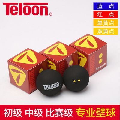 天龙/Teloon单人儿童壁球初学训练壁球蓝点初学者双黄点壁球