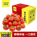【绿行者】红又红番茄品牌果小果5斤新鲜蔬菜自然熟沙瓤西红柿子