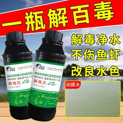 【鱼塘除油膜】碧水安水产养殖有机酸解毒灵解毒净化水质调节PH