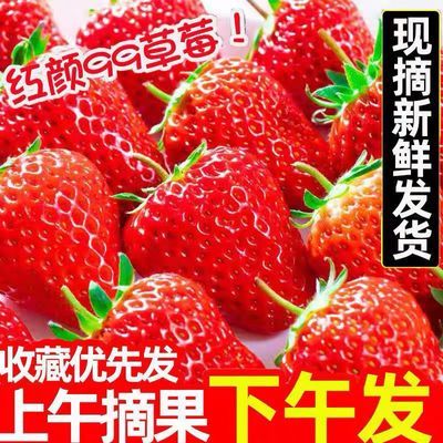【正宗安徽红颜草莓】红颜甜草莓新鲜草莓孕妇牛奶草莓非丹东99