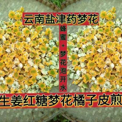 野生正宗多年梦花黄瑞香喜花打结花梦冬花食用散装结香花