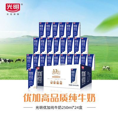 ���ڲ�������1�²��������żӴ�ţ��250ml*24������ѧ����ͯӪ������̴��� 61Ԫ