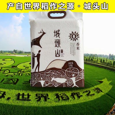 2022当季新米长粒香米籼米10斤新鲜南方大米清仓家用家庭装专用