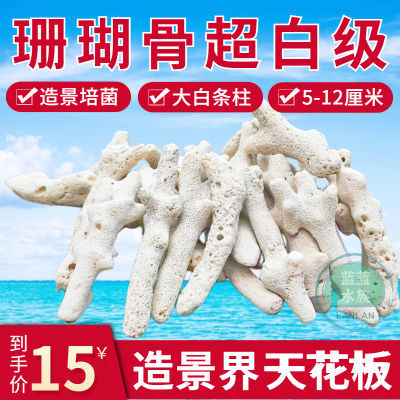 珊瑚骨过滤材料鱼缸超白天然珊瑚砂过滤培菌造景水族装饰珊瑚底沙
