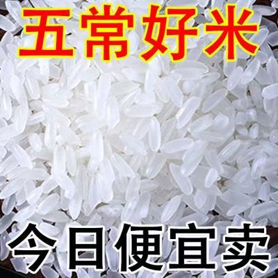 五常稻花香大米10斤20斤五常长粒香米新米东北大米6斤