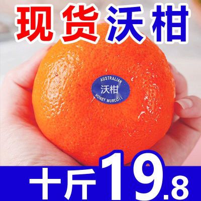 【免费】正宗广西武鸣沃柑当季新鲜水果薄皮桔子整箱橘子10斤批发