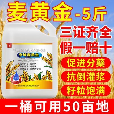 麦黄金增产王叶面肥小麦分蘖剂抗倒伏壮秧剂小麦套餐小麦高产肥