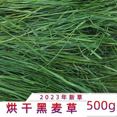 500g黑麦草干草 烘干黑麦箱装兔子草  龙猫 豚鼠 草 陆