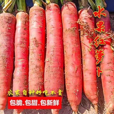 农家陕西红心水果红萝卜红皮胡萝卜新鲜蔬菜脆甜生吃胡萝卜精选