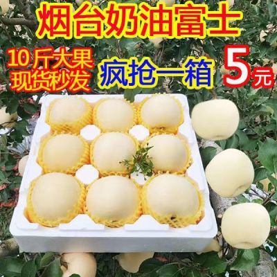 【下单即发】烟台奶油富士苹果水果新鲜牛奶黄金白冰糖心平果元帅